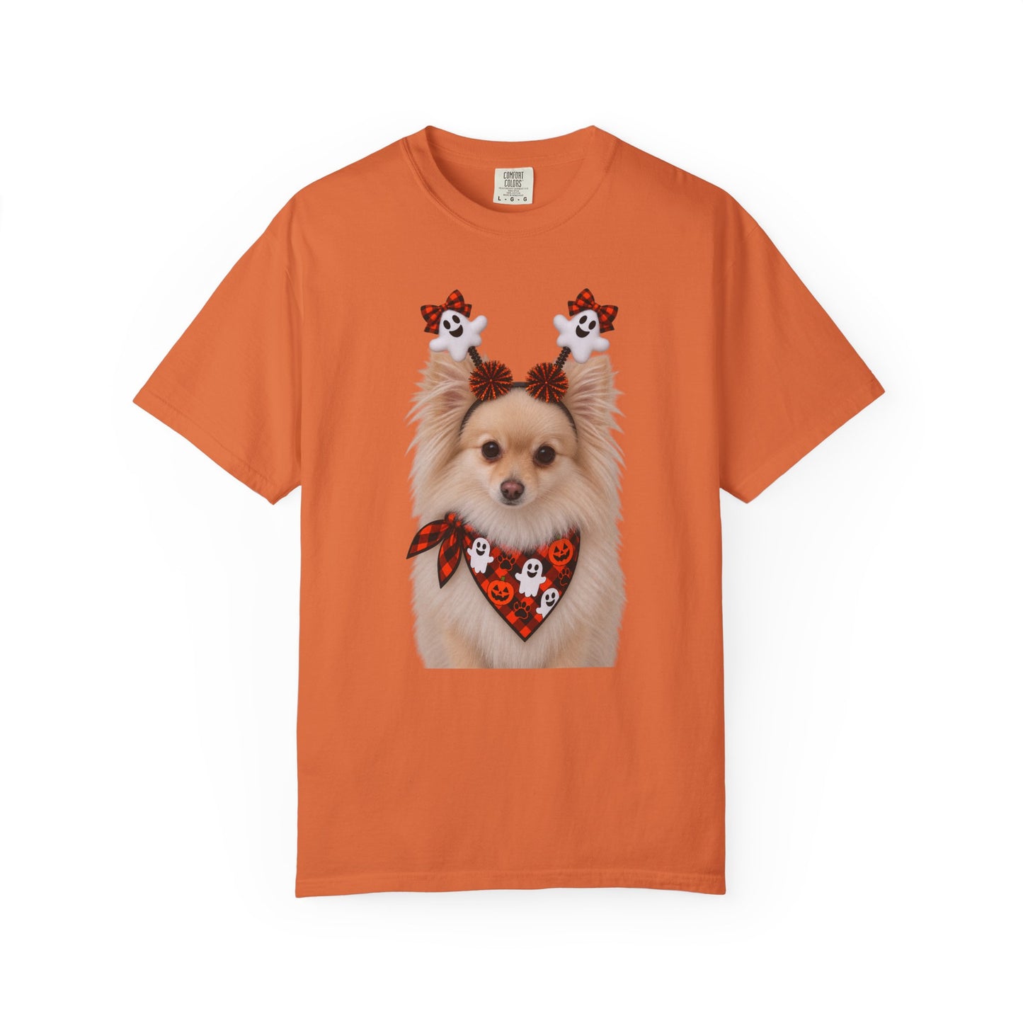 Tan/White Pomeranian Halloween