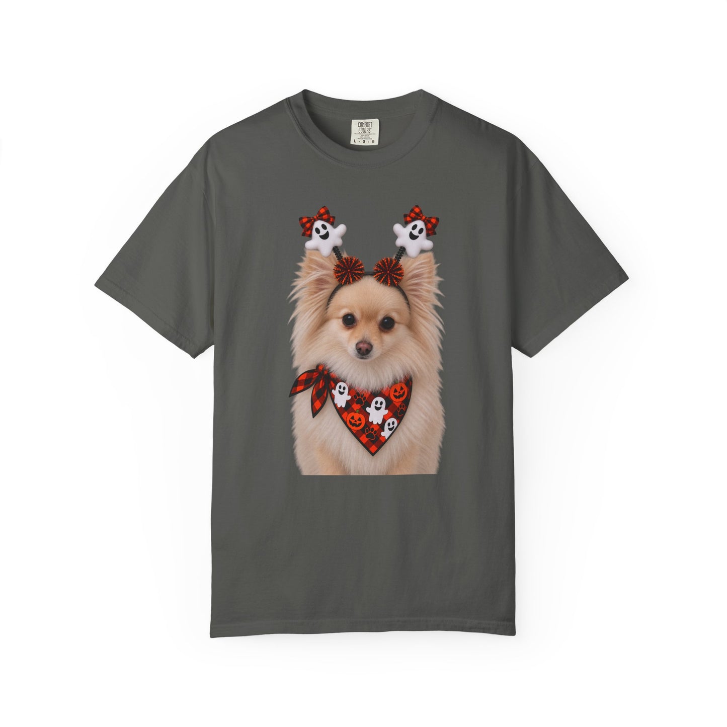 Tan/White Pomeranian Halloween