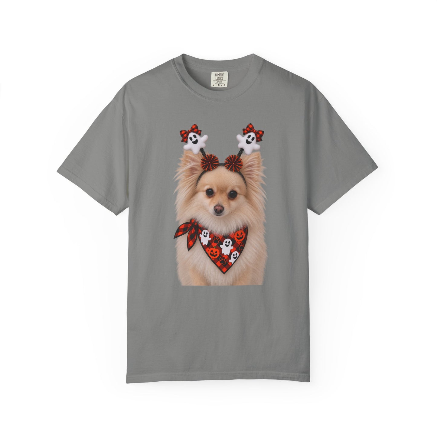 Tan/White Pomeranian Halloween