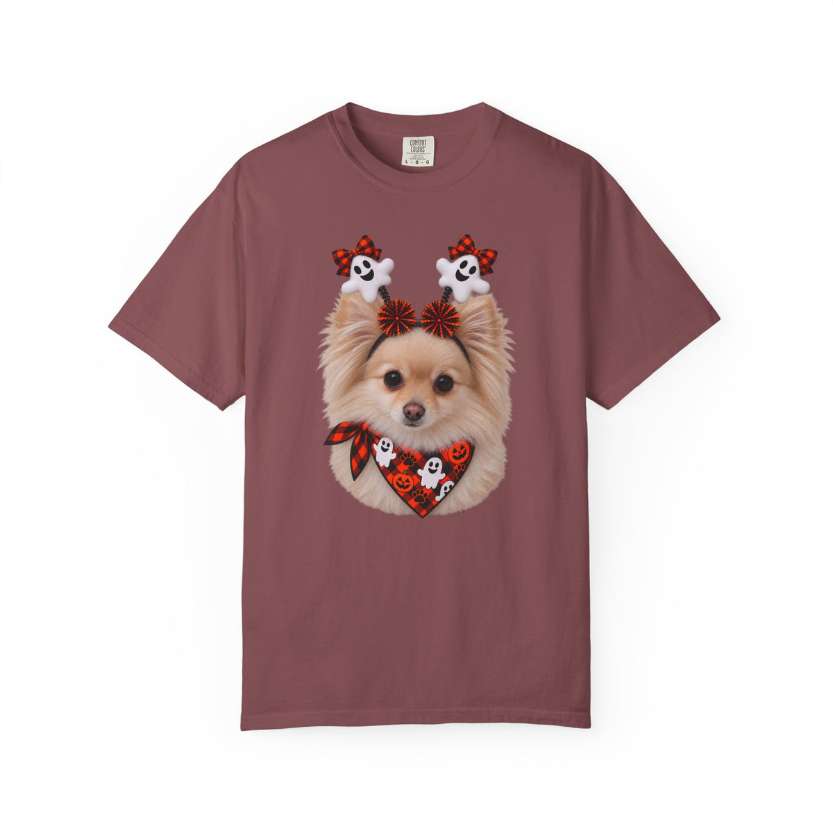 Tan/White Pomeranian Halloween