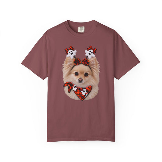 Tan/White Pomeranian Halloween