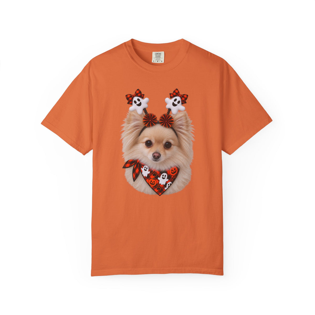 Tan/White Pomeranian Halloween