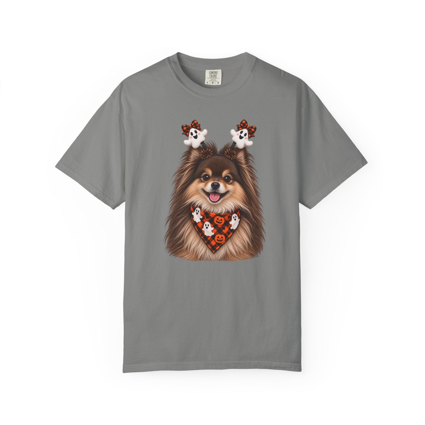 Brown and Tan Pomeranian Halloween