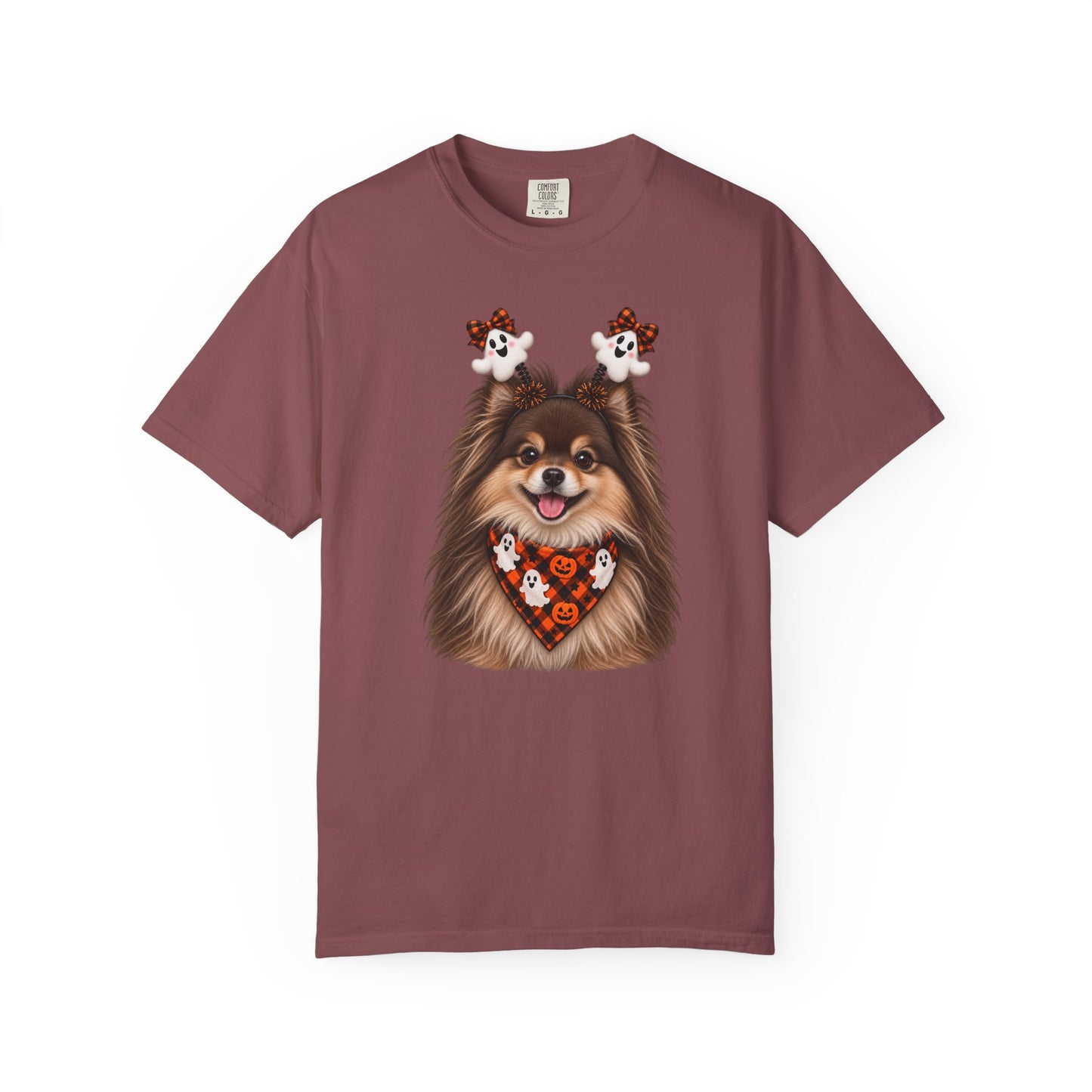 Brown and Tan Pomeranian Halloween