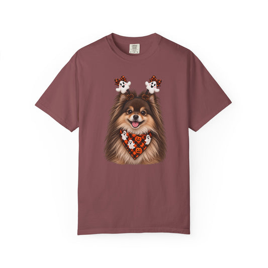 Brown and Tan Pomeranian Halloween
