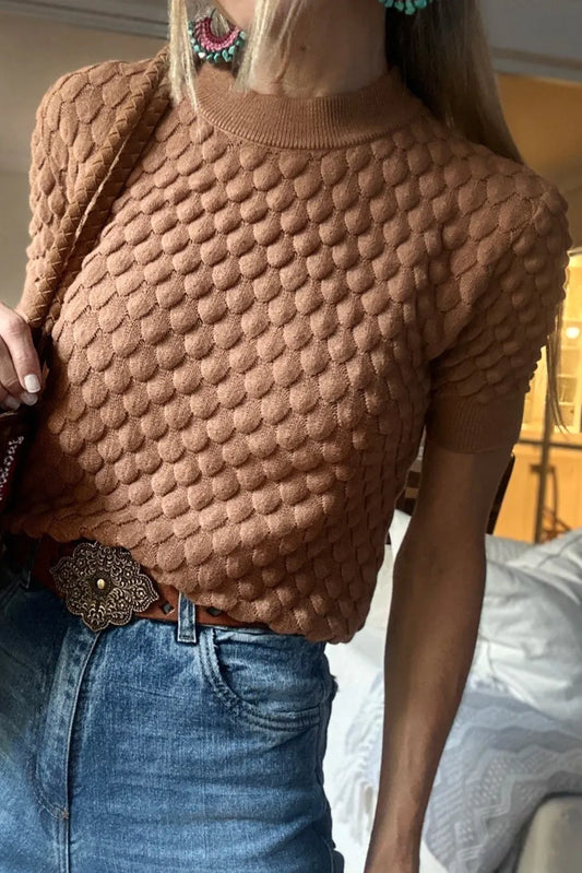 Fish Scale Textured Knit Ribbed High Neck Short Sleeve Sweater