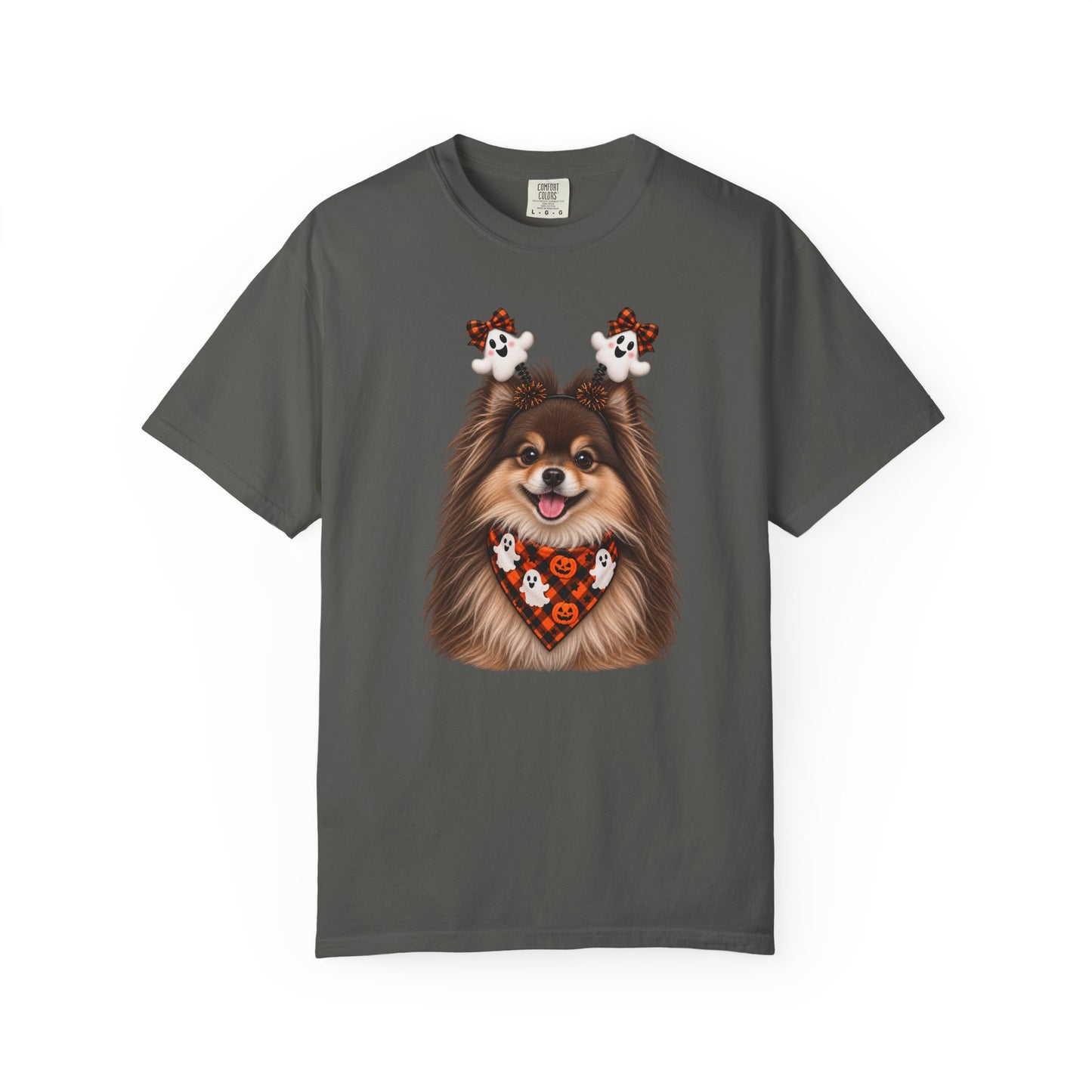 Brown and Tan Pomeranian Halloween