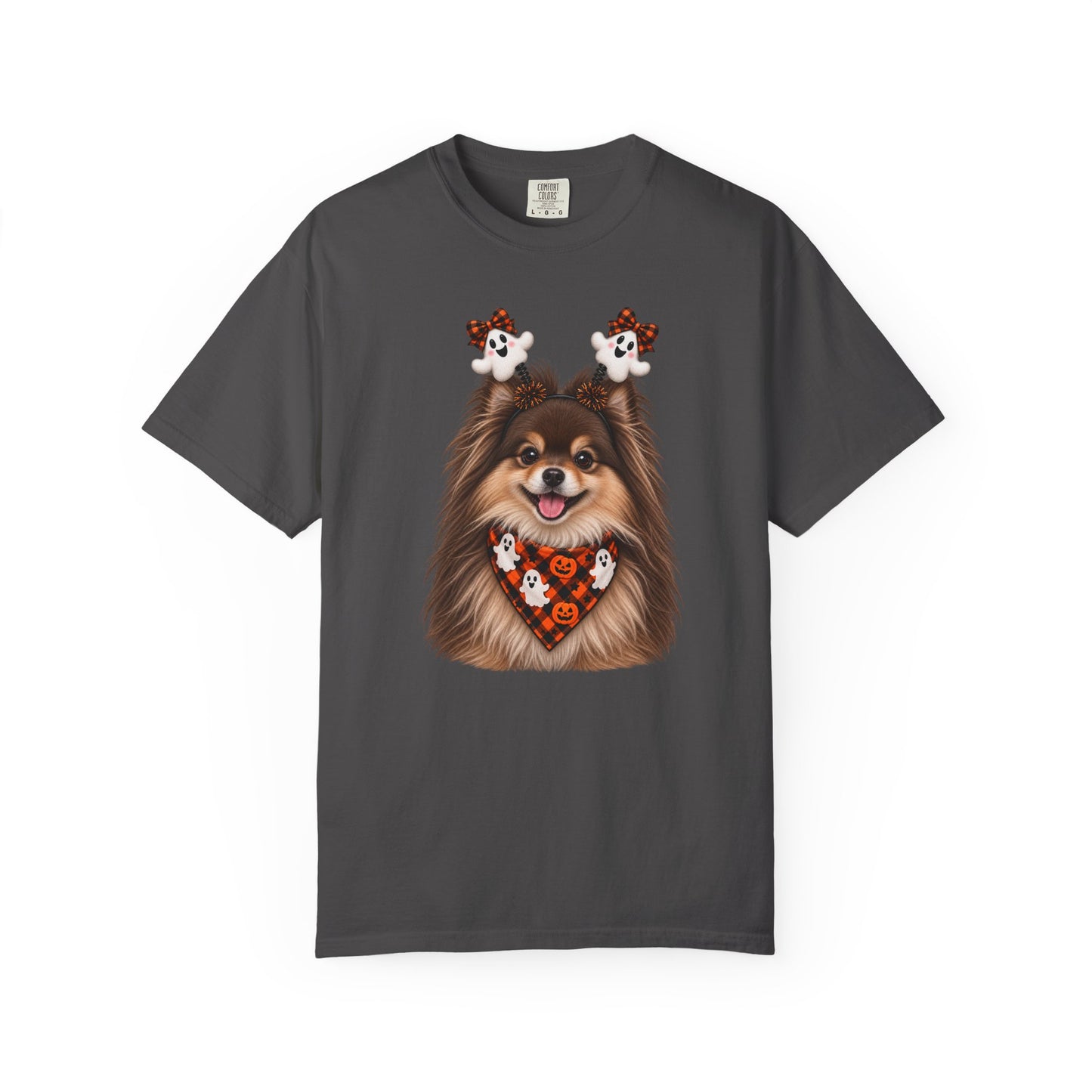 Brown and Tan Pomeranian Halloween