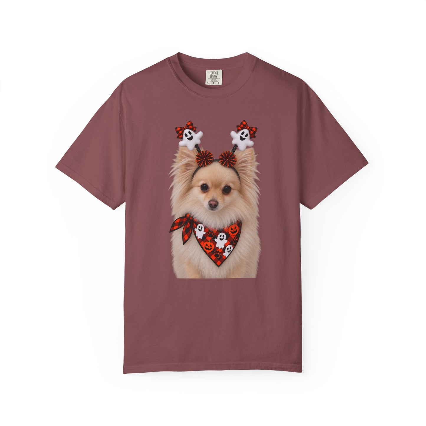 Tan/White Pomeranian Halloween