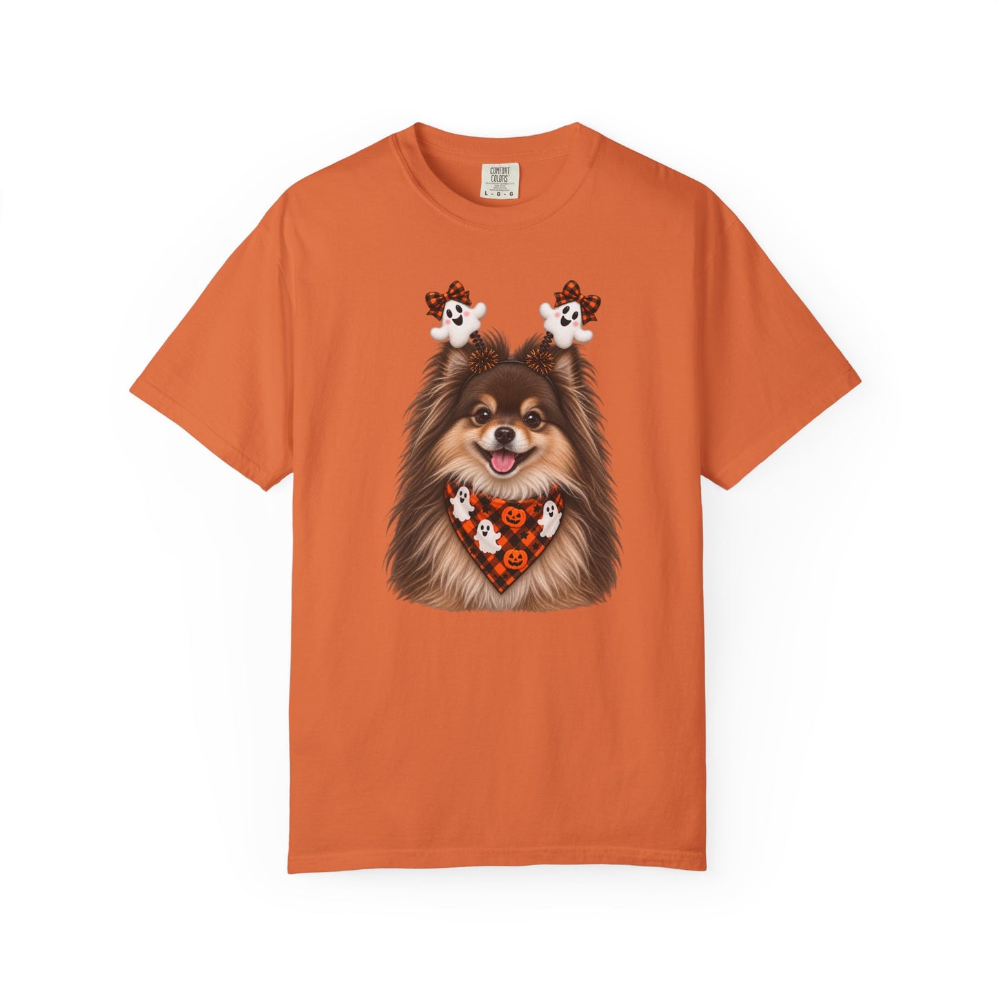 Brown and Tan Pomeranian Halloween