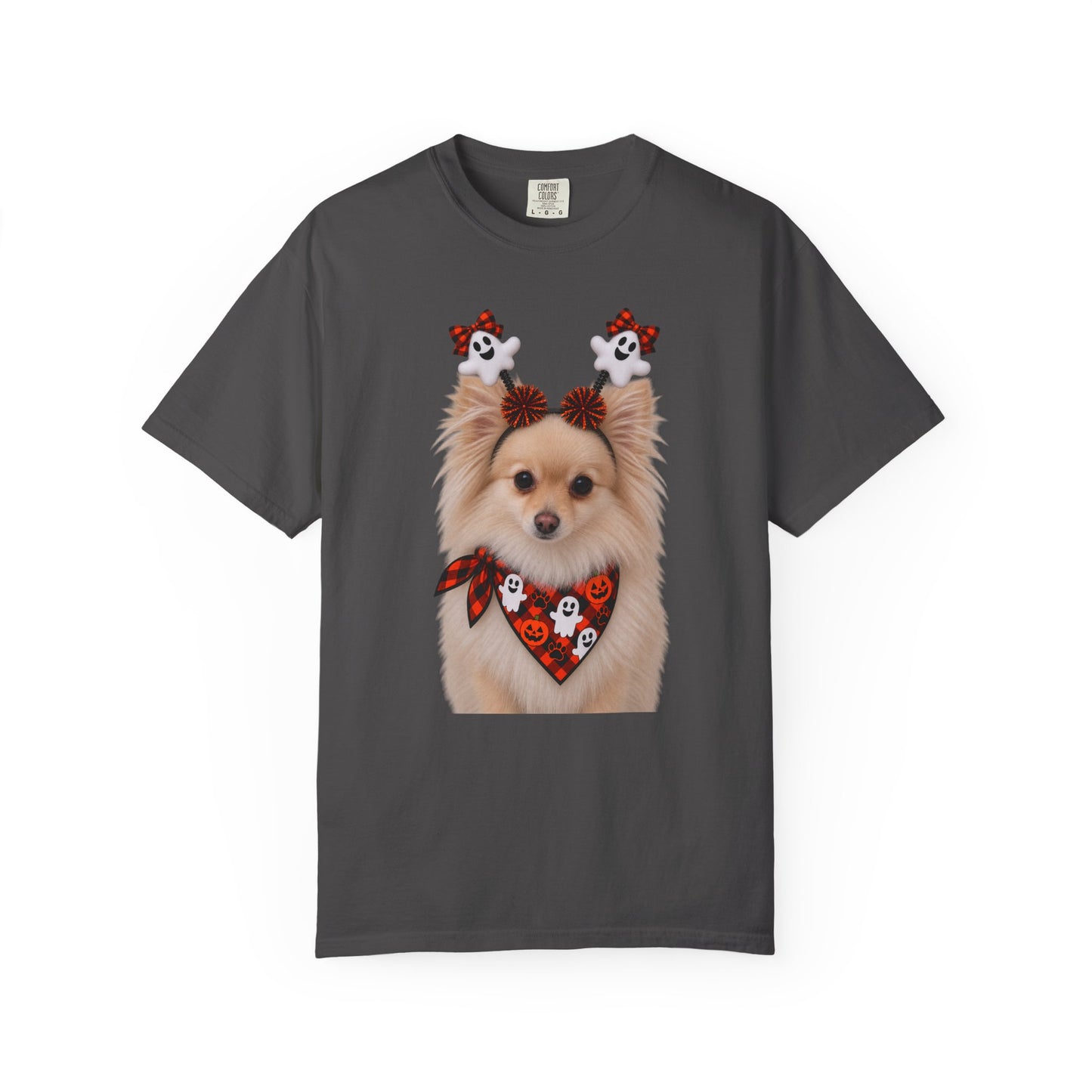 Tan/White Pomeranian Halloween