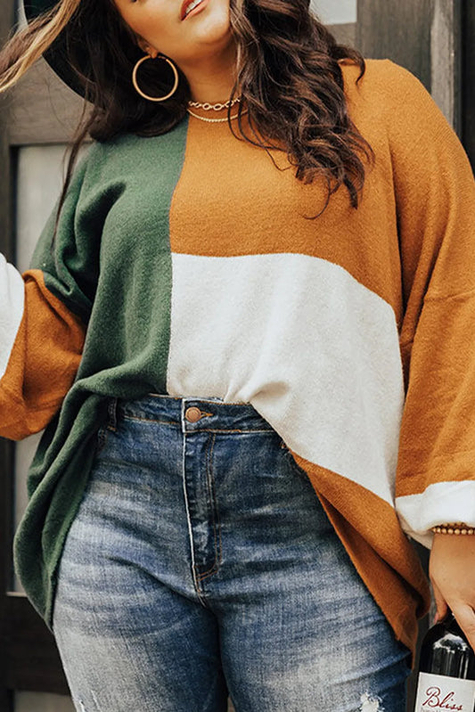 Colorblock Drop Shoulder Oversized Tunic Sweater