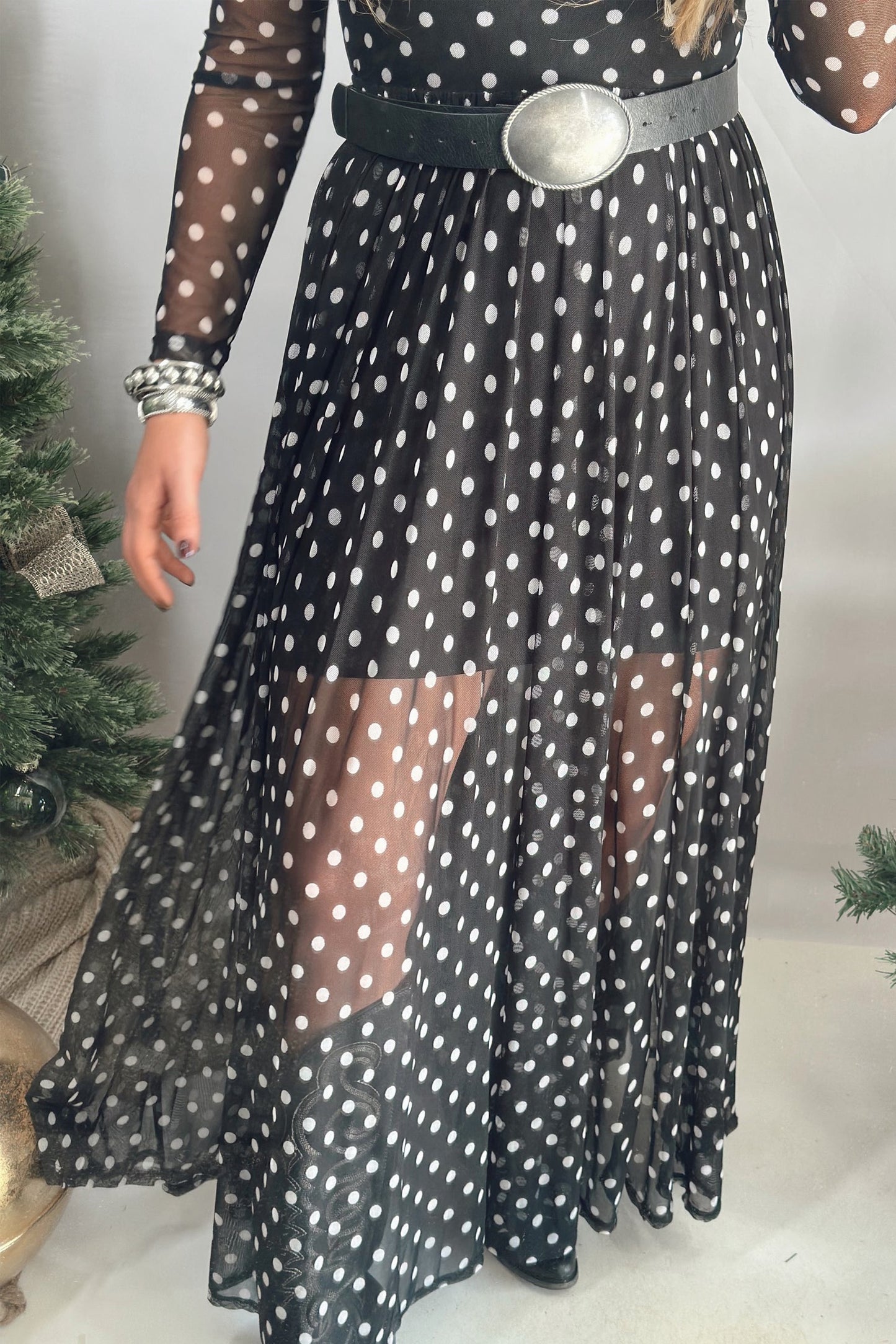 Polka Dot Mesh Dress